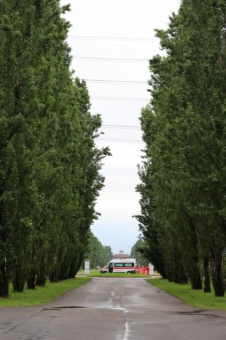Il Viale e la Villa